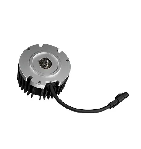 LUBESTAR Brushless DC Drive Motor